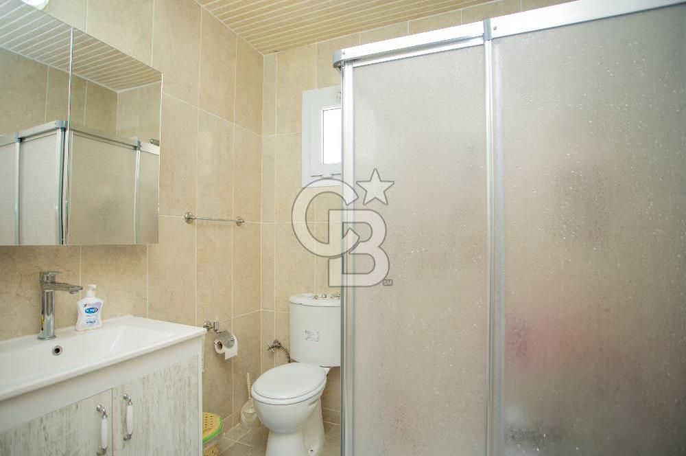 Aydın Söke'de Satılık 45 Dönüm Zeytinlik