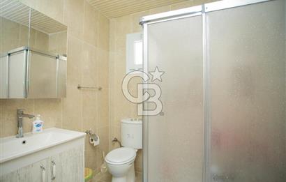 Aydın Söke'de Satılık 45 Dönüm Zeytinlik