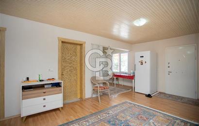 Aydın Söke'de Satılık 45 Dönüm Zeytinlik