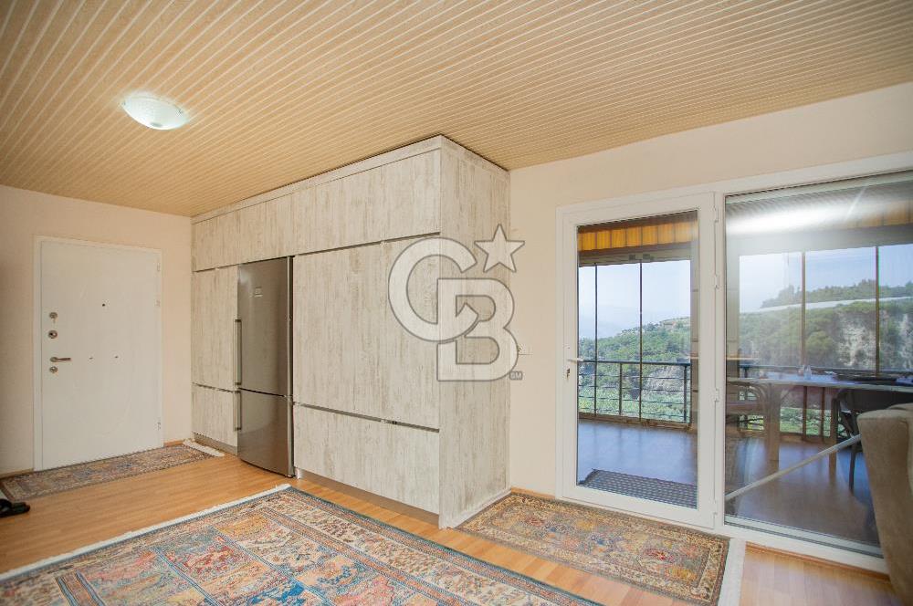 Aydın Söke'de Satılık 45 Dönüm Zeytinlik