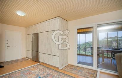 Aydın Söke'de Satılık 45 Dönüm Zeytinlik