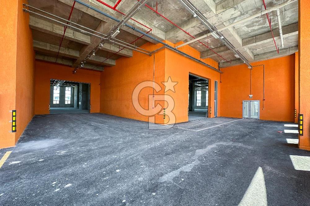 CB ONKO'dan Hadımköy Deliklikaya'da Satılık Fabrika Katları