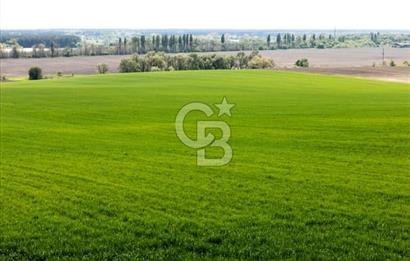 YALOVA ARMUTLU KARŞIYAKA YOL KENARI 1.600 M2 İMARLI DEĞERLİ MÜLK