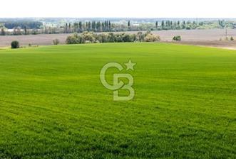 YALOVA ARMUTLU KARŞIYAKA YOL KENARI 1.600 M2 İMARLI DEĞERLİ MÜLK