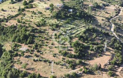 Mersin Mezitli Fındıkpınarı Yaylasında Mahalle İçi 2.427 m2 Satılık Tarla