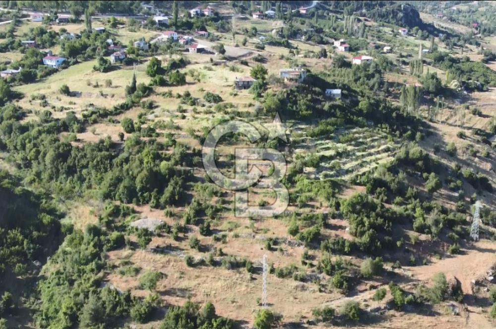 Mersin Mezitli Fındıkpınarı Yaylasında Mahalle İçi 2.427 m2 Satılık Tarla