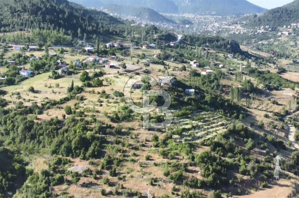 Mersin Mezitli Fındıkpınarı Yaylasında Mahalle İçi 2.427 m2 Satılık Tarla