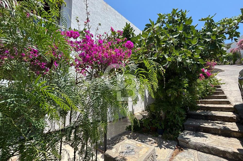 BODRUM BİTEZ 1+1 YAZLIK KİRALIK DENİZE YÜRÜME MESAFELİ DAİRE