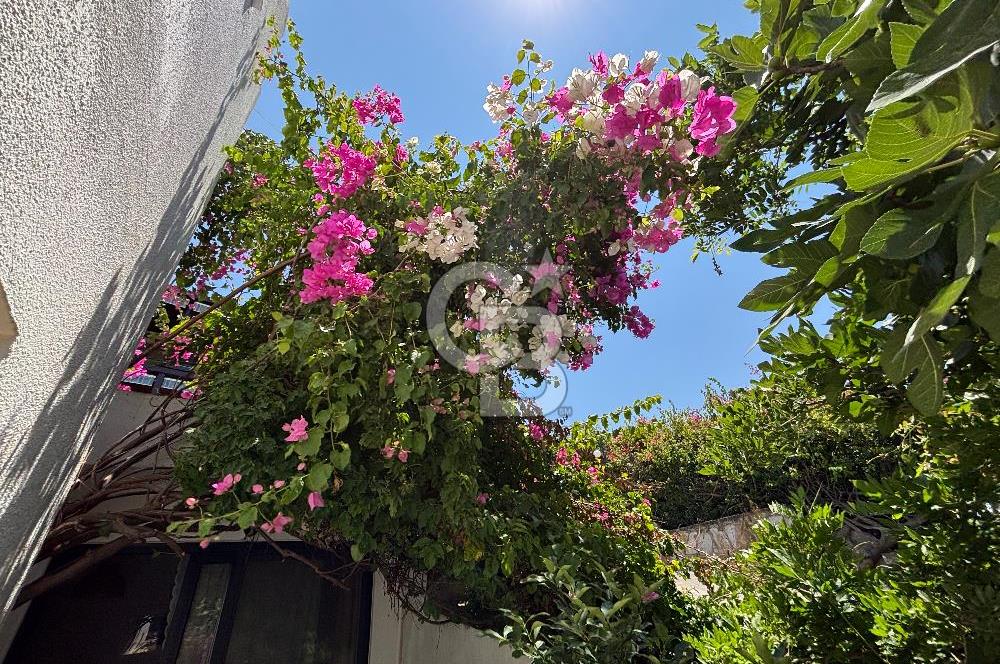 BODRUM BİTEZ 1+1 YAZLIK KİRALIK DENİZE YÜRÜME MESAFELİ DAİRE