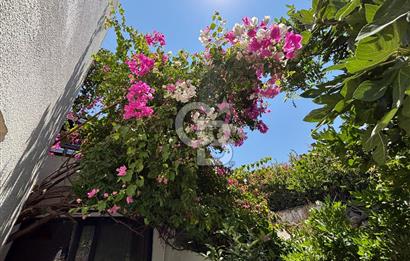 BODRUM BİTEZ 1+1 YAZLIK KİRALIK DENİZE YÜRÜME MESAFELİ DAİRE