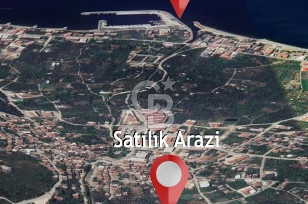YALOVA ARMUTLU KARŞIYAKA YOL KENARI 1.600 M2 İMARLI DEĞERLİ MÜLK