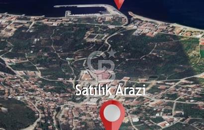 YALOVA ARMUTLU KARŞIYAKA YOL KENARI 1.600 M2 İMARLI DEĞERLİ MÜLK