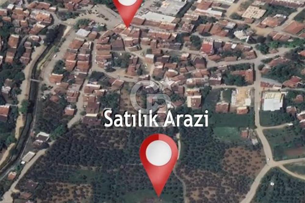 YALOVA ARMUTLU KARŞIYAKA YOL KENARI 1.600 M2 İMARLI DEĞERLİ MÜLK