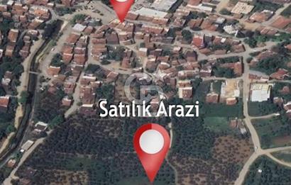 YALOVA ARMUTLU KARŞIYAKA YOL KENARI 1.600 M2 İMARLI DEĞERLİ MÜLK