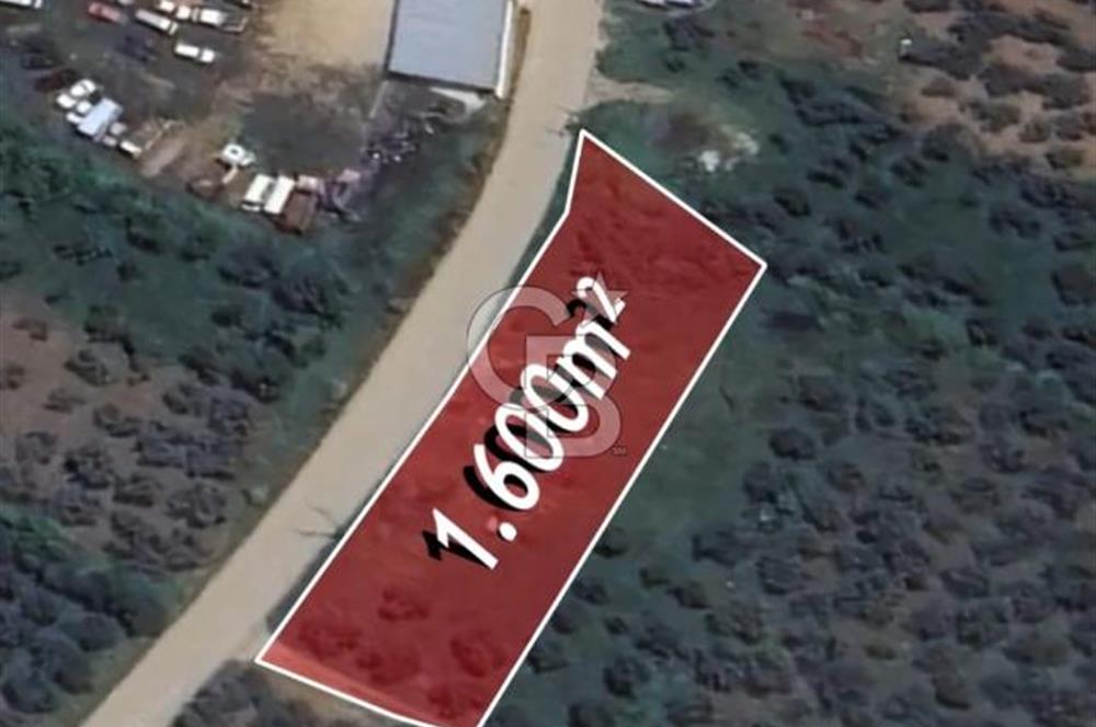 YALOVA ARMUTLU KARŞIYAKA YOL KENARI 1.600 M2 İMARLI DEĞERLİ MÜLK