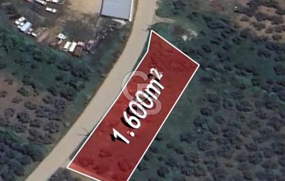 YALOVA ARMUTLU KARŞIYAKA YOL KENARI 1.600 M2 İMARLI DEĞERLİ MÜLK
