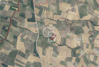 CB KiNG DEN KAMÇILI MH. SATILIK 4.523 M2 TARLA