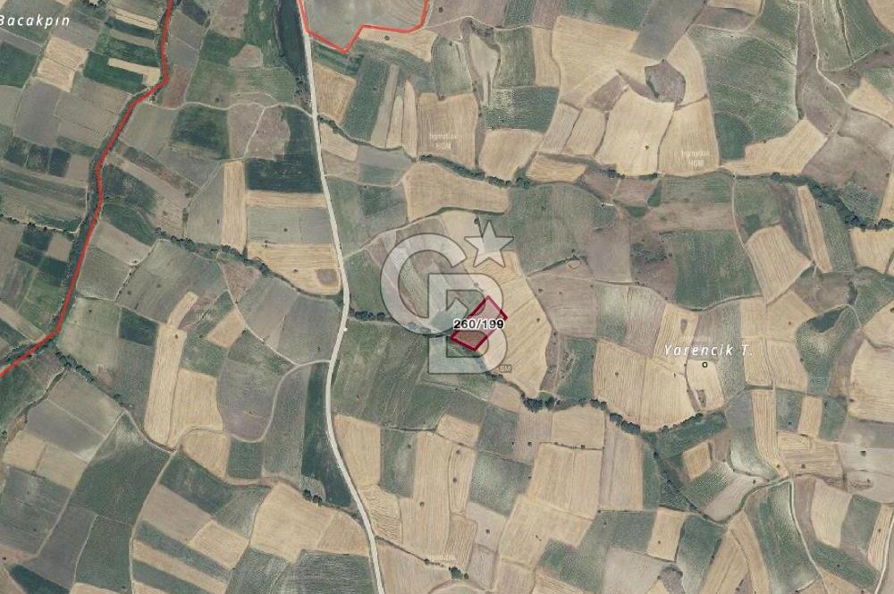 CB KiNG DEN KAMÇILI MH. SATILIK 4.523 M2 TARLA