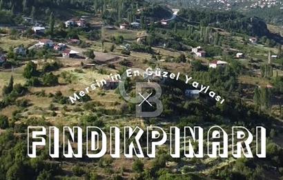 Mersin Mezitli Fındıkpınarı Yaylasında Mahalle İçi 2.427 m2 Satılık Tarla