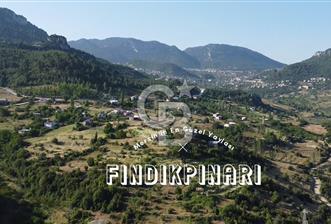 Mersin Mezitli Fındıkpınarı Yaylasında Mahalle İçi 2.427 m2 Satılık Tarla