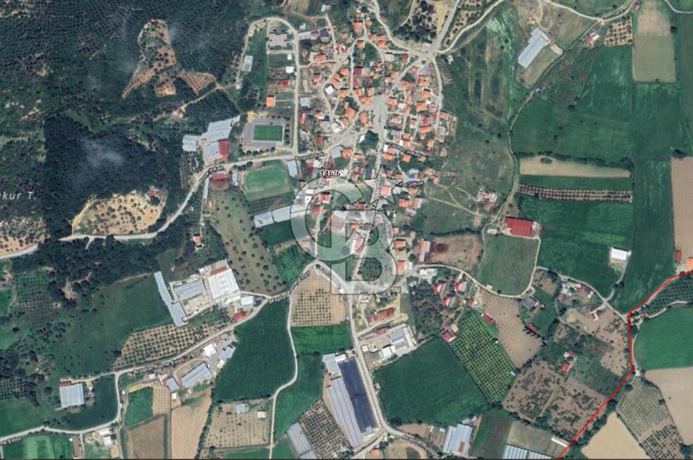 Seferihisar Satilik Firsat Yatirim Arsasi