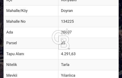 KOYAALTI DOYRAN SATILIK TARLA