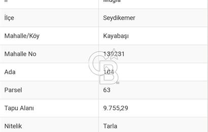 Muğla Seydikemer Kayabaşı Mahallesi’nde Satılık Tarla