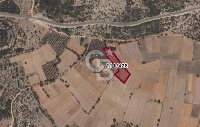 Muğla Menteşe Akkaya Mahallesi’nde Satılık Tarla