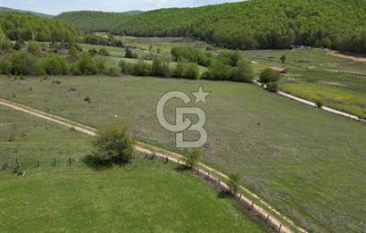 BURSA İZNİK HACIOSMAN'DA 16 DÖNÜM SATILIK TARLA