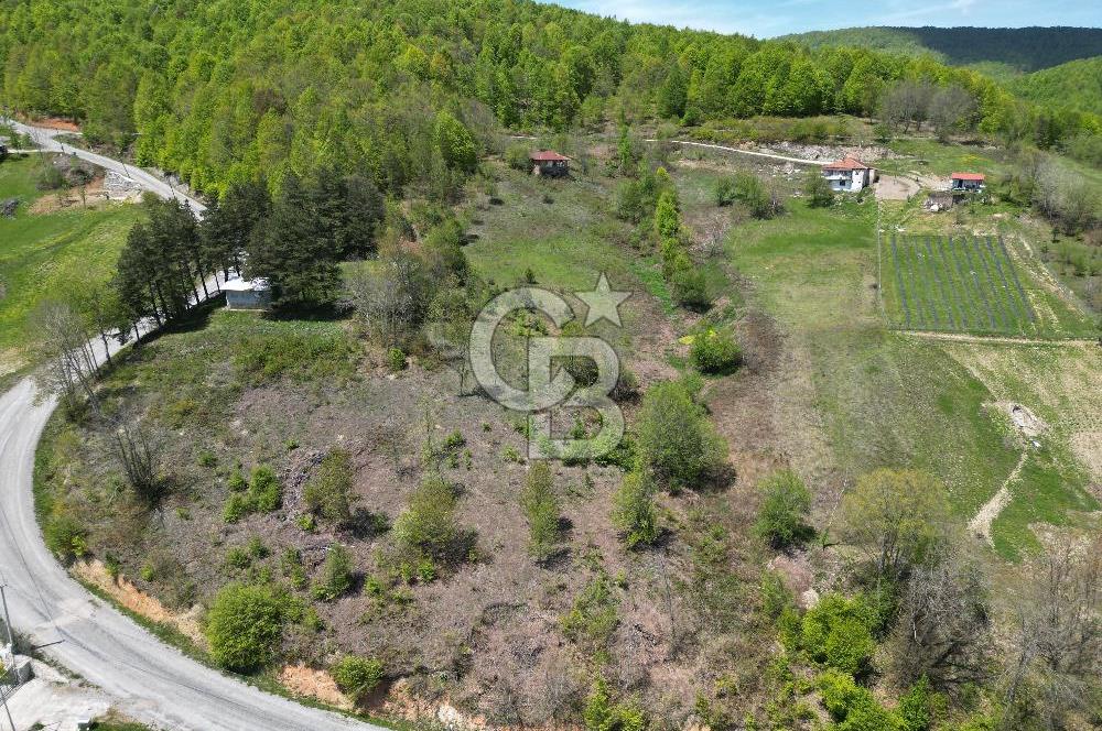 BURSA İZNİK KUTLUCA'DA DOĞA İLE İÇ İÇE SATILIK 12.325M2 ARSA