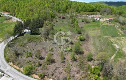 BURSA İZNİK KUTLUCA'DA DOĞA İLE İÇ İÇE SATILIK 12.325M2 ARSA