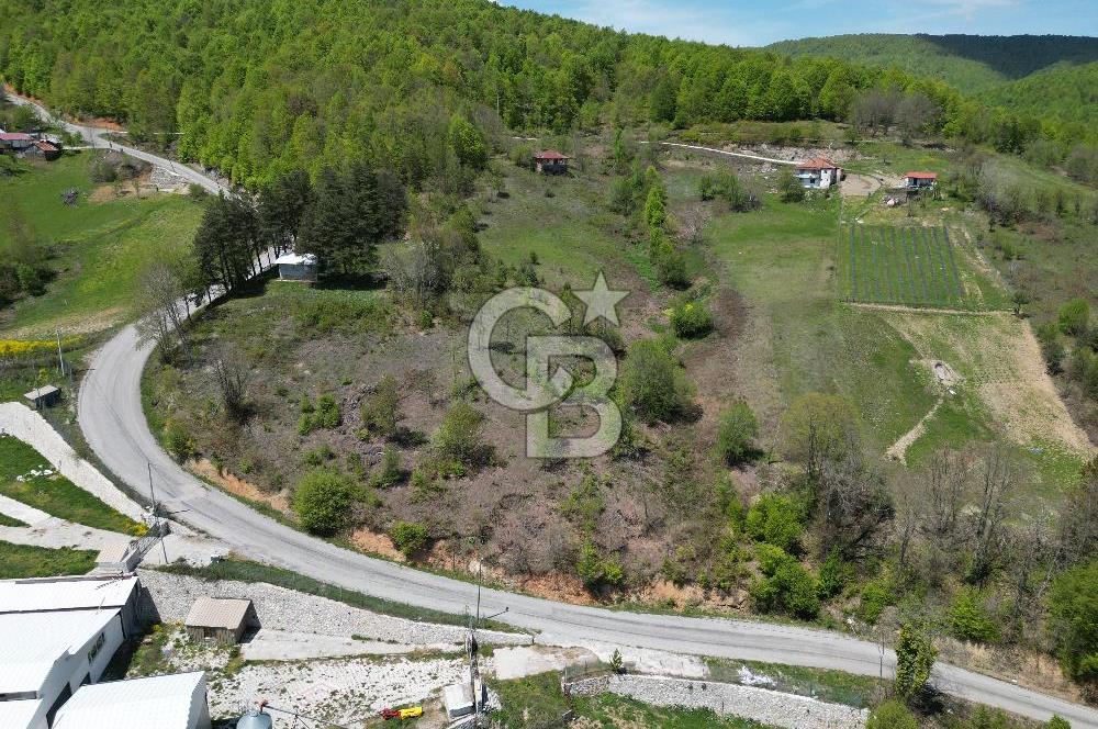 BURSA İZNİK KUTLUCA'DA DOĞA İLE İÇ İÇE SATILIK 12.325M2 ARSA