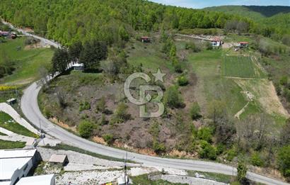BURSA İZNİK KUTLUCA'DA DOĞA İLE İÇ İÇE SATILIK 12.325M2 ARSA