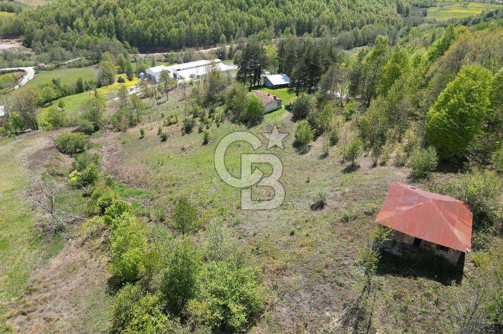 BURSA İZNİK KUTLUCA'DA DOĞA İLE İÇ İÇE SATILIK 12.325M2 ARSA