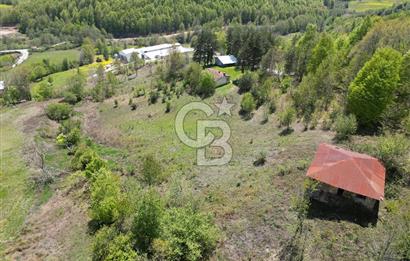 BURSA İZNİK KUTLUCA'DA DOĞA İLE İÇ İÇE SATILIK 12.325M2 ARSA