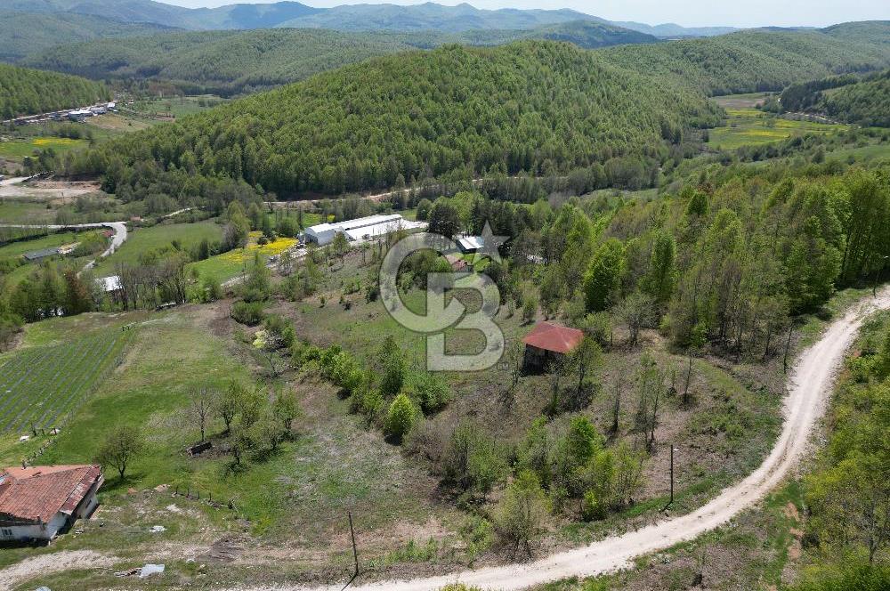 BURSA İZNİK KUTLUCA'DA DOĞA İLE İÇ İÇE SATILIK 12.325M2 ARSA