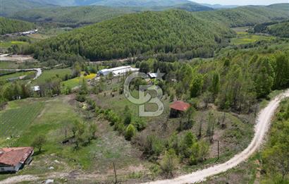 BURSA İZNİK KUTLUCA'DA DOĞA İLE İÇ İÇE SATILIK 12.325M2 ARSA