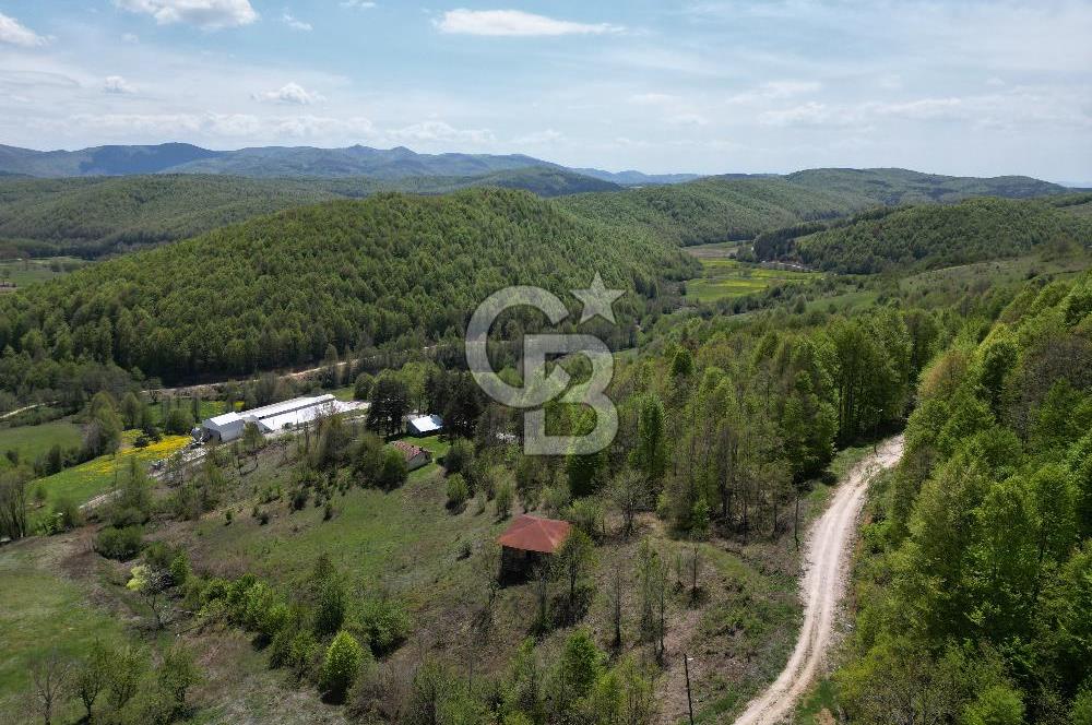 BURSA İZNİK KUTLUCA'DA DOĞA İLE İÇ İÇE SATILIK 12.325M2 ARSA