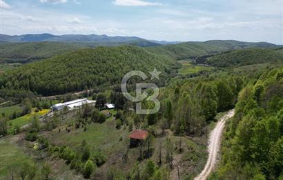 BURSA İZNİK KUTLUCA'DA DOĞA İLE İÇ İÇE SATILIK 12.325M2 ARSA