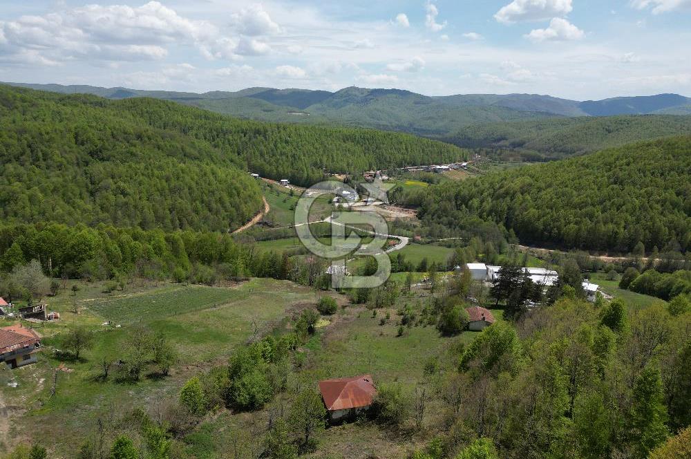 BURSA İZNİK KUTLUCA'DA DOĞA İLE İÇ İÇE SATILIK 12.325M2 ARSA
