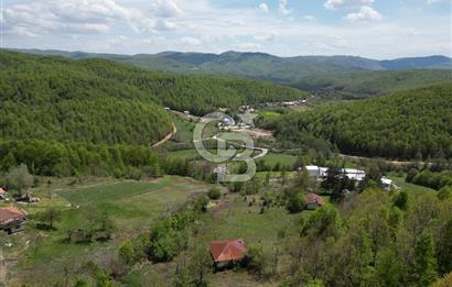 BURSA İZNİK KUTLUCA'DA DOĞA İLE İÇ İÇE SATILIK 12.325M2 ARSA