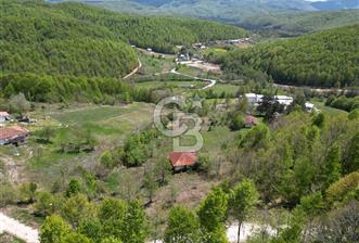 BURSA İZNİK KUTLUCA'DA DOĞA İLE İÇ İÇE SATILIK 12.325M2 ARSA