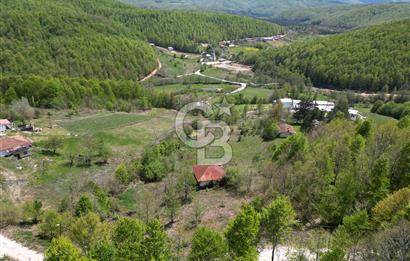 BURSA İZNİK KUTLUCA'DA DOĞA İLE İÇ İÇE SATILIK 12.325M2 ARSA
