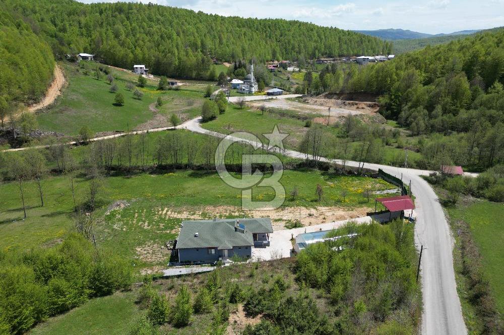 BURSA İZNİK KUTLUCA'DA 6.300M2 ARSADA SATILIK HAVUZLU KÖY EVİ