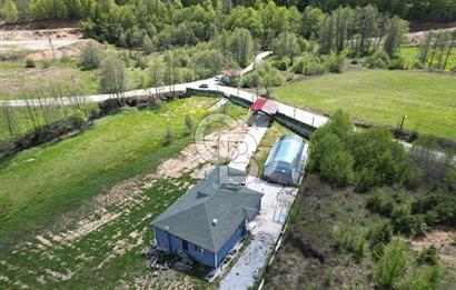 BURSA İZNİK KUTLUCA'DA 6.300M2 ARSADA SATILIK HAVUZLU KÖY EVİ