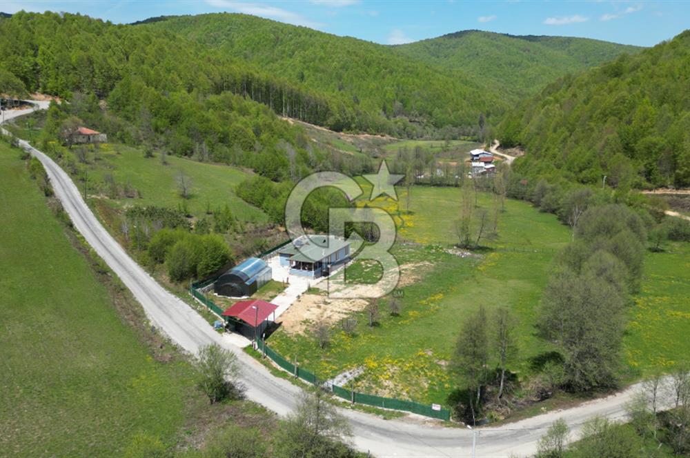 BURSA İZNİK KUTLUCA'DA 6.300M2 ARSADA SATILIK HAVUZLU KÖY EVİ