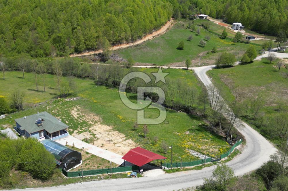 BURSA İZNİK KUTLUCA'DA 6.300M2 ARSADA SATILIK HAVUZLU KÖY EVİ