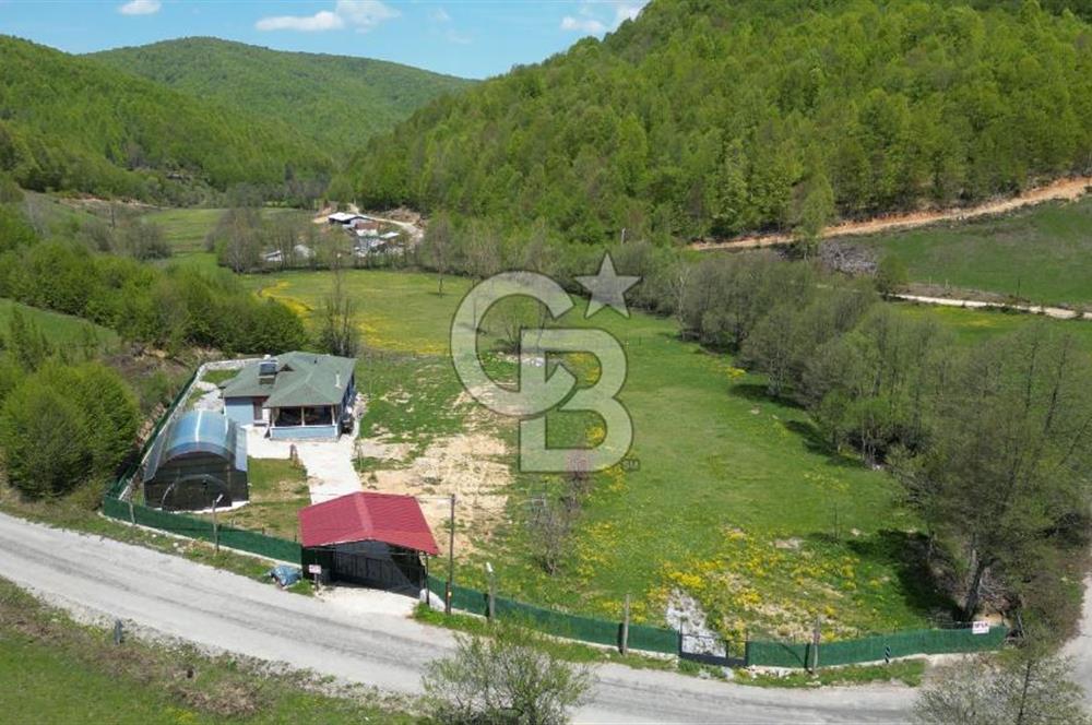 BURSA İZNİK KUTLUCA'DA 6.300M2 ARSADA SATILIK HAVUZLU KÖY EVİ