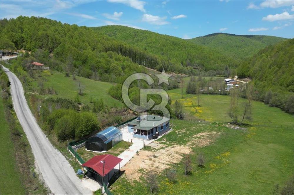 BURSA İZNİK KUTLUCA'DA 6.300M2 ARSADA SATILIK HAVUZLU KÖY EVİ