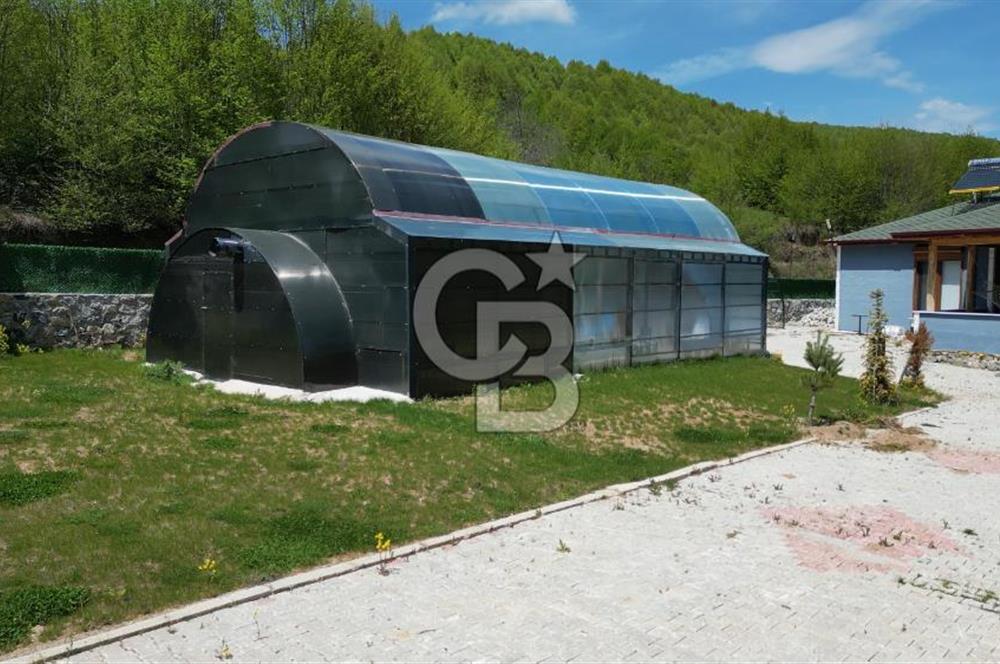 BURSA İZNİK KUTLUCA'DA 6.300M2 ARSADA SATILIK HAVUZLU KÖY EVİ